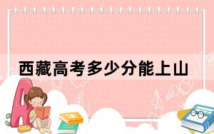 西藏高考多少分能上山东财经大学？2024年录取分分