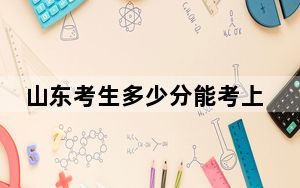 山东考生多少分能考上长春大学旅游学院？附带近三年最低录取分数线