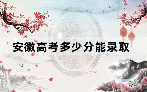 安徽高考多少分能录取上海工商外国语职业学院？2024年历史类228分 物理类272分