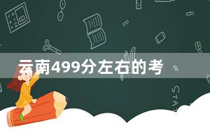 云南499分左右的考生可以报考哪些大学？