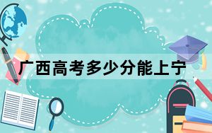 广西高考多少分能上宁波诺丁汉大学？附2022-2024年最低录取分数线