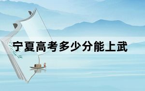 宁夏高考多少分能上武昌职业学院？附2022-2024年最低录取分数线