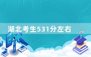 湖北考生531分左右可以录取哪些大学？ 2024年录取最低分531的大学