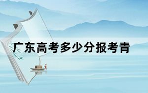 广东高考多少分报考青岛城市学院？附2022-2024年最低录取分数线