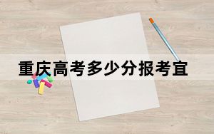 重庆高考多少分报考宜宾职业技术学院？附2022-2024年最低录取分数线