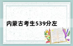 内蒙古考生539分左右可以录取哪些公办本科大学？（供2025届高三考生参考）