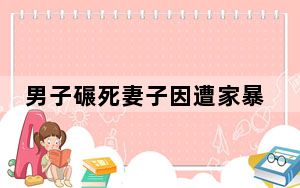 男子碾死妻子因遭家暴?女方弟弟回应 背后真相令人震惊