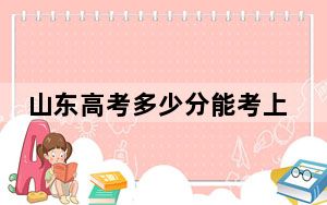 山东高考多少分能考上沈阳理工大学？2024年综合最低分525分