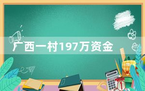 广西一村197万资金下落不明 背后真相令人震惊