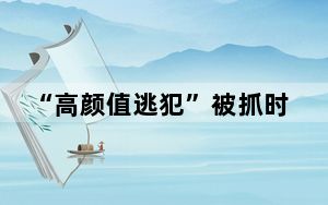 “高颜值逃犯”被抓时变凉皮摊主 背后真相让人感到惊讶