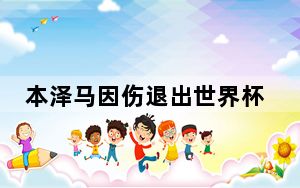 本泽马因伤退出世界杯 背后真相实在让人惊愕
