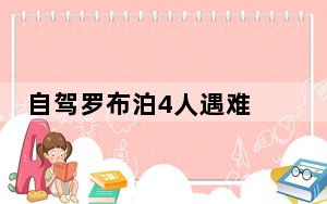 自驾罗布泊4人遇难 背后真相实在让人惊愕