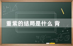 重紫的结局是什么 背后真相让人感到惊讶