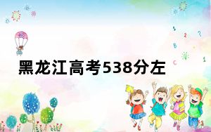 黑龙江高考538分左右报考大学都有哪些？ 2024年一共25所大学录取