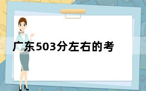广东503分左右的考生可以报考哪些大学？（供2025年考生参考）