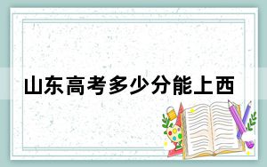 山东高考多少分能上西北大学？附2022-2024年院校最低投档线