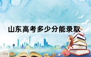 山东高考多少分能录取沈阳工程学院？2024年综合最低分541分