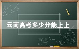 云南高考多少分能上上海中侨职业技术大学？附2022-2024年最低录取分数线