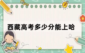 西藏高考多少分能上哈尔滨华德学院？附2022-2024年最低录取分数线