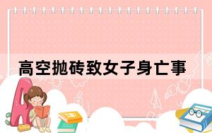 高空抛砖致女子身亡事件最新进展  背后真相实在令人震惊