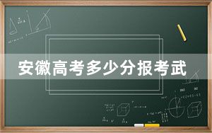 安徽高考多少分报考武汉民政职业学院？2024年历史类373分 物理类最低389分