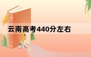 云南高考440分左右的可以报考的公办本科大学名单！（附带2022-2024年440录取名单）
