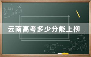 云南高考多少分能上柳州工学院？附2022-2024年最低录取分数线