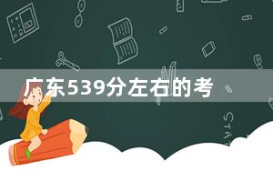 广东539分左右的考生可以报考哪些大学？ 2024年一共67所大学录取