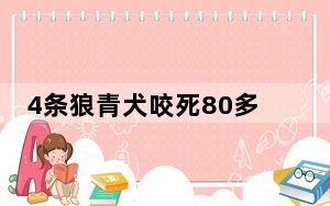 4条狼青犬咬死80多只羊 背后真相实在让人惊愕