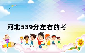 河北539分左右的考生可以报考哪些公办本科大学？ 2025年高考可以填报39所大学