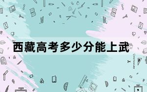 西藏高考多少分能上武汉华夏理工学院？附2022-2024年最低录取分数线