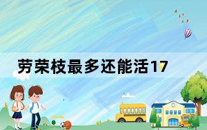 劳荣枝最多还能活17天 这到底是怎么回事？