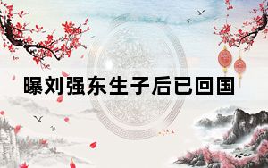 曝刘强东生子后已回国工作 背后真相令人震惊