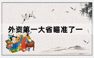 外资第一大省瞄准了一座“富矿” 内幕曝光简直太意外了