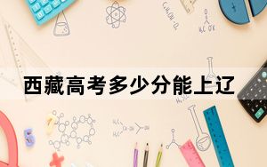 西藏高考多少分能上辽宁中医药大学杏林学院？2024年最低分
