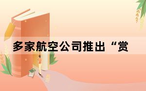 多家航空公司推出“赏月航班” 背后真相令人震惊