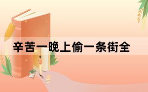 辛苦一晚上偷一条街全得还回去 背后真相实在令人震惊
