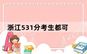 浙江531分考生都可以填报哪些大学？（附带2022-2024年531录取名单）