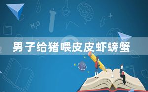 男子给猪喂皮皮虾螃蟹 背后真相实在令人震惊