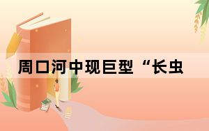 周口河中现巨型“长虫”?当地回应了
