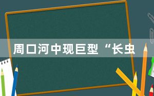 周口河中现巨型“长虫”?当地回应是蟒蛇来源不明