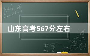 山东高考567分左右报考大学都有哪些？