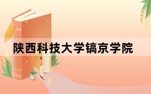 陕西科技大学镐京学院2024年录取最低分数线是多少？四川考生2025年参考
