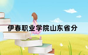 伊春职业学院山东省分数线是多少？2025年山东考生参考
