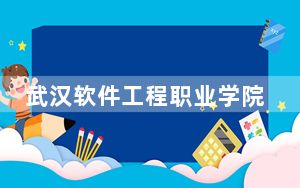 武汉软件工程职业学院2024年录取最低分数线是多少？甘肃考生2025年参考