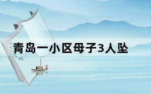 青岛一小区母子3人坠楼 2人身亡 内幕曝光简直太意外了