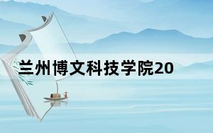 兰州博文科技学院2024年在山东录取分数线和招生计划