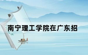 南宁理工学院在广东招生计划和录取分数线是多少？2025广东考生参考