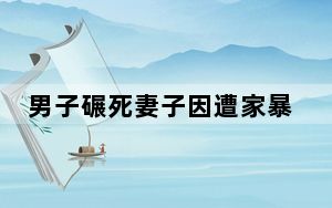 男子碾死妻子因遭家暴?女方弟弟回应 这到底是怎么回事？