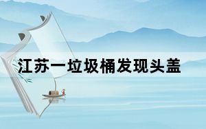 江苏一垃圾桶发现头盖骨?法医查证 背后真相实在让人惊愕